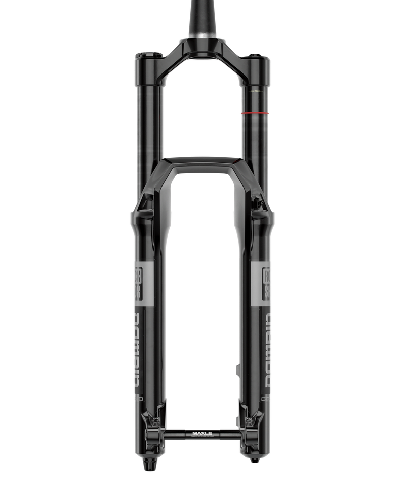 Load image into Gallery viewer, RockShox Domain Gold Isolator RC3 29-Inch Suspension Fork - 170mm Travel, 38mm Stanchions, 15x110mm Boost Axle, Tapered Steerer, Gloss Black, Enduro & Mountain Bike Performance, Advanced Isolator Damper, DebonAir Spring, E-MTB Ready