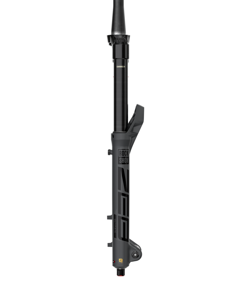 Load image into Gallery viewer, RockShox ZEB Ultimate Charger 3.1 RC2 Suspension Fork - 29", 190 mm, 15 x 110 mm, 44 mm Offset, Gray, A3