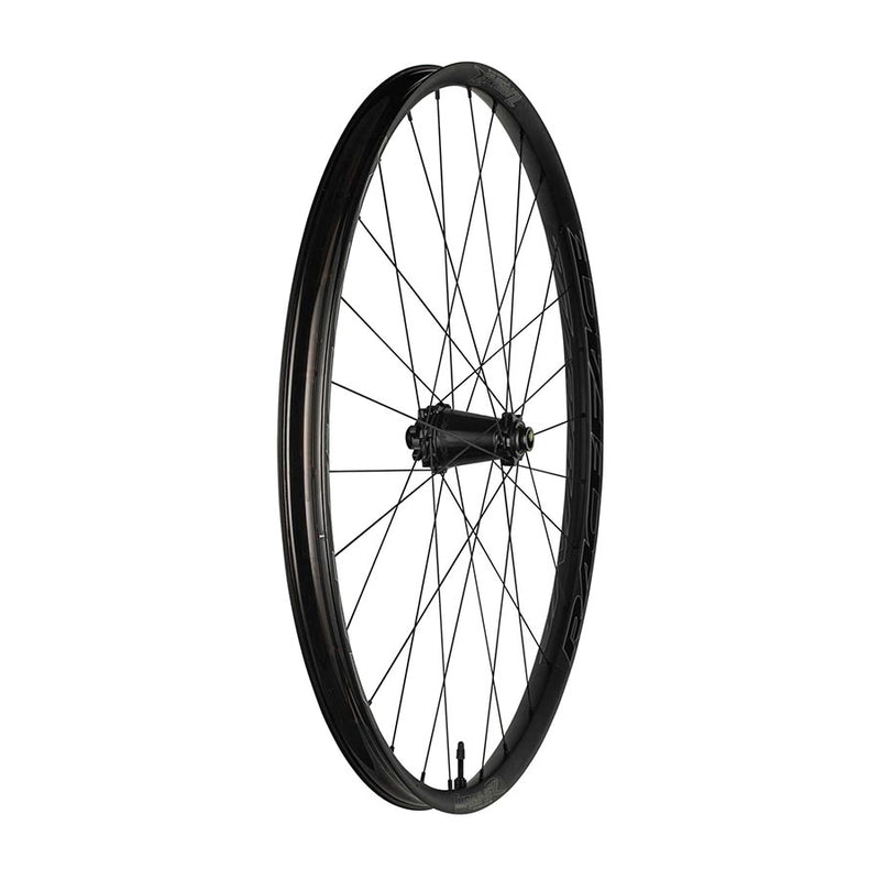 Load image into Gallery viewer, Race Face Turbine-R 35 29" Front Wheel, 15x110 Boost, Black