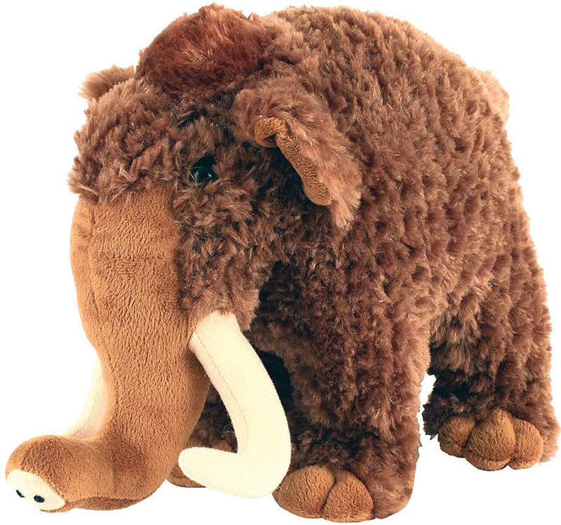 Load image into Gallery viewer, EDUCATION-OUTDOORS-GIFT-ITEMS-GIFT0038