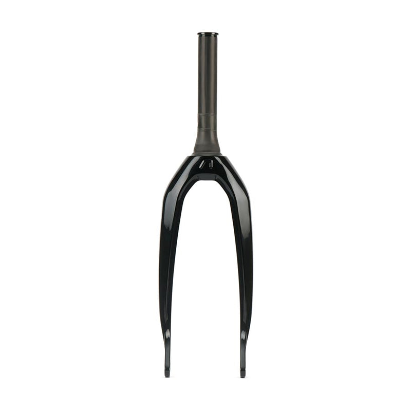 Load image into Gallery viewer, ARISE-20''-Rigid-Fork-RGFK0319