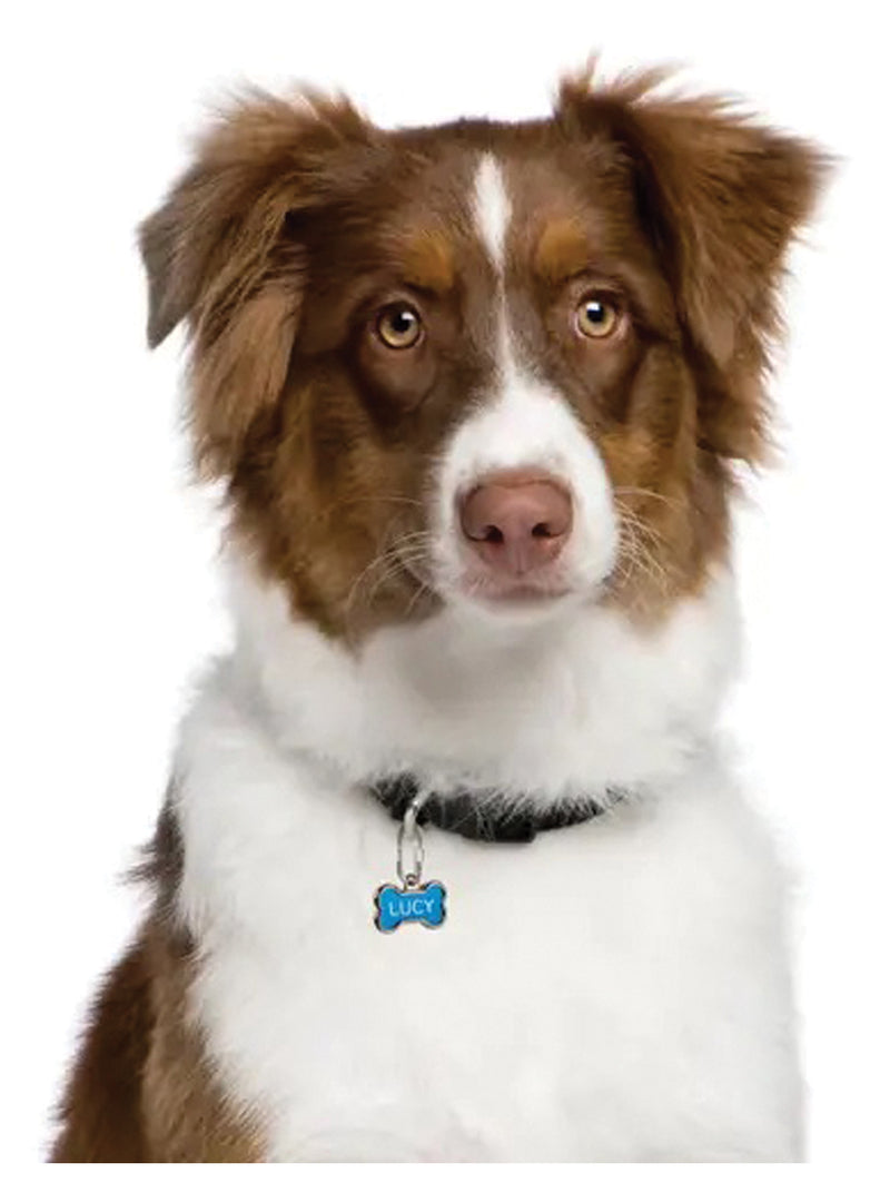 Load image into Gallery viewer, Nite Ize Microlink Pet Tag Biner-2 Pack: Secure Your Pet's ID with Ease