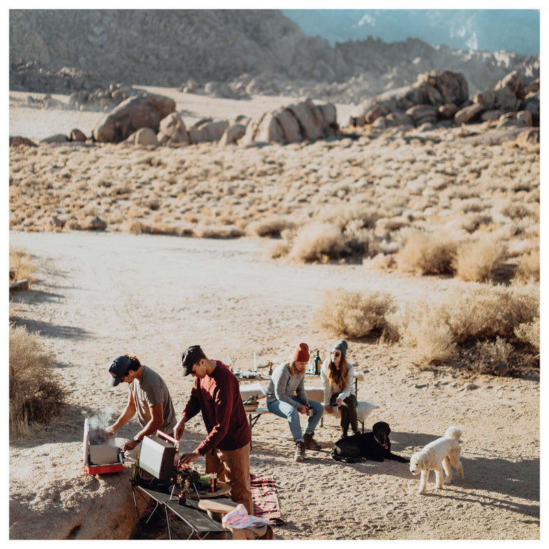 Load image into Gallery viewer, Primus Profile 2-Burner Propane Stove: Compact and Efficient Cooking Solution