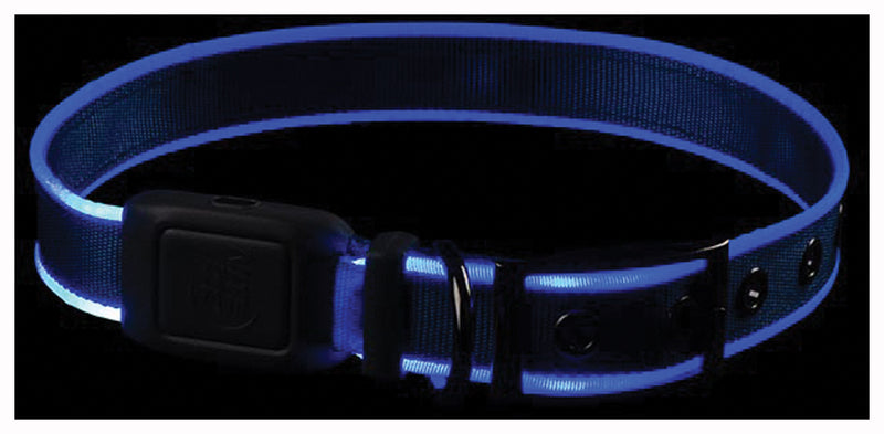 Load image into Gallery viewer, Nite Ize NiteDog RC LED Collar - Large Blue