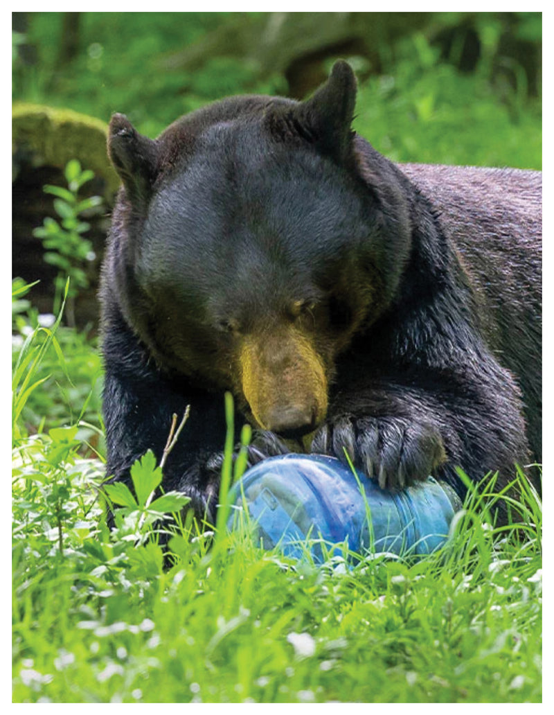 Load image into Gallery viewer, BEARVAULT-Travel-Shipping-Cases-TSCS0501-Bicycle-Travel-Shipping-Cases