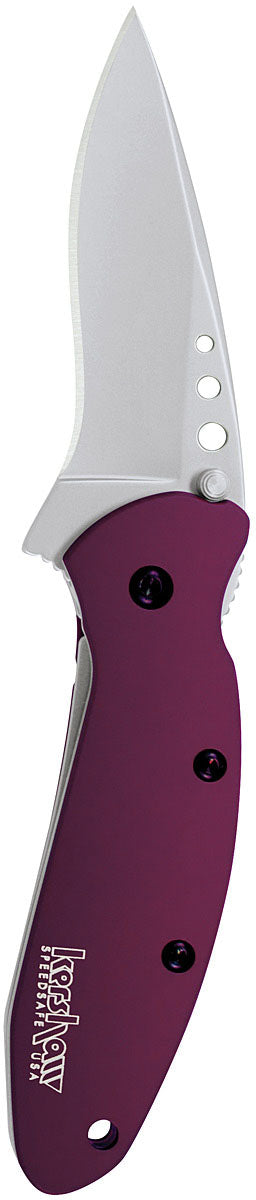 Load image into Gallery viewer, KERSHAW-Pocket-Knives-and-Multi-tool-PKMT0972