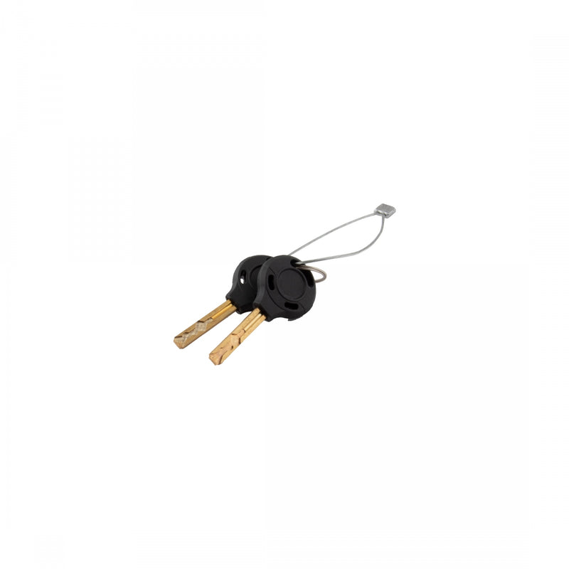 Load image into Gallery viewer, Sunlite Defender D1 Key Lock Key 12mm 6`/183cm Includes 2 Keys Heavy Duty