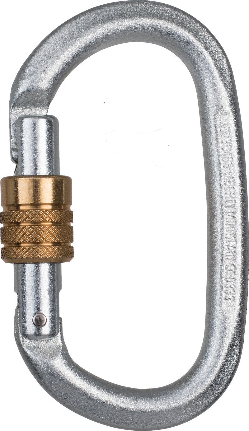 Load image into Gallery viewer, CYPHER-Carabiner-Keychain-Lanyard-CBKL1531