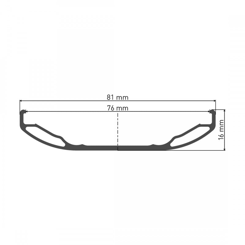 Load image into Gallery viewer, DT Swiss Big Ride Rim - 26" Disc Black 32H Clincher Fat Bike BR710 Presta Cutout