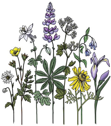 Load image into Gallery viewer, Sticker Art Sticker Art Stickers Wildflowers Gifts