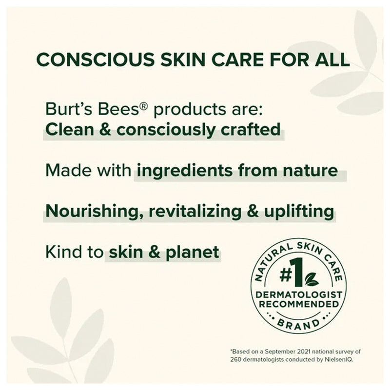 Load image into Gallery viewer, Burt's Bees Lip Balm Paper Tube Blih.34oz