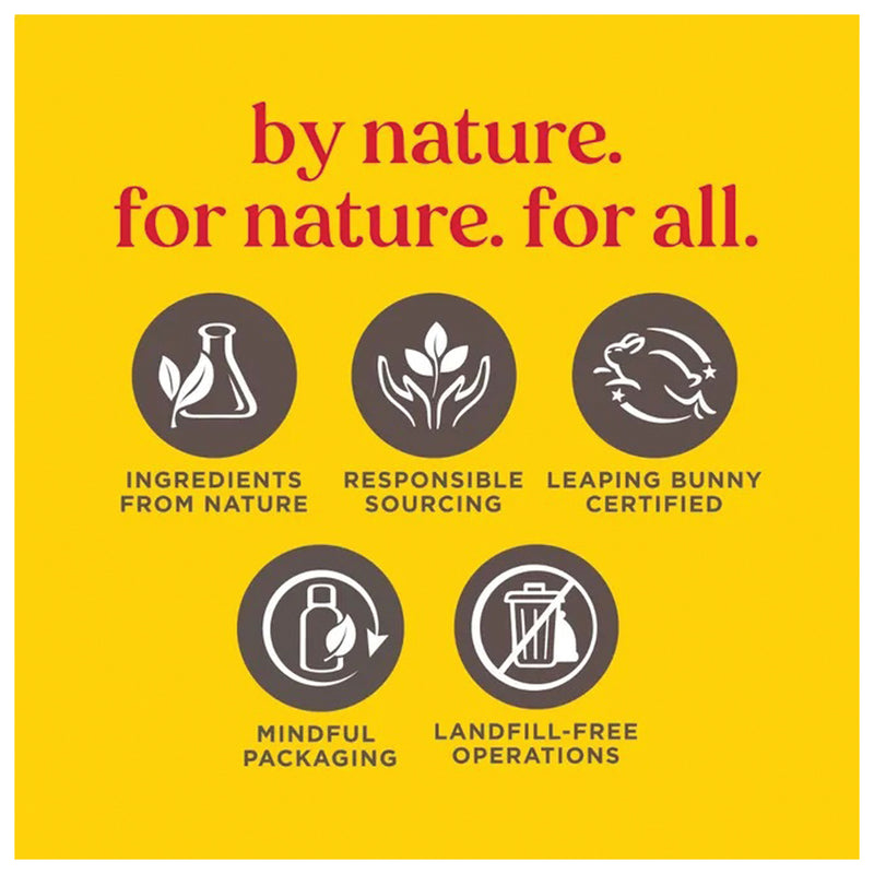 Load image into Gallery viewer, Burt's Bees Lip Balm Coconut P Tube .34oz