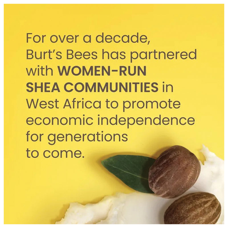 Load image into Gallery viewer, BURT'S-BEES-Lip-Balm-LPBM0190