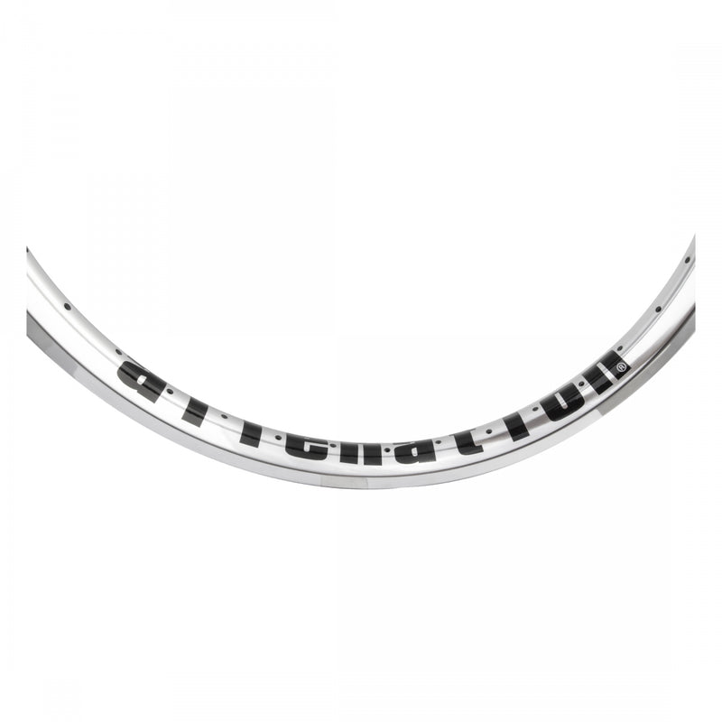 Load image into Gallery viewer, Vandal Alienation 22in Vandal Polished Silver 36