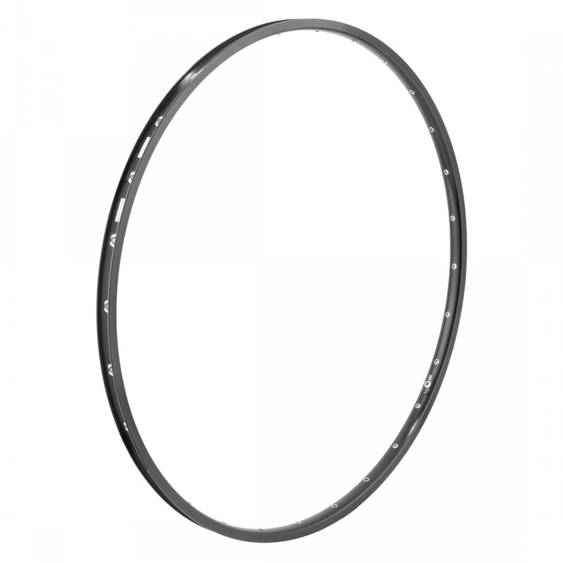 Load image into Gallery viewer, H-Plus-Son-Rim-RIMS1890-Bicycle-Rims-For-Custom-Wheels