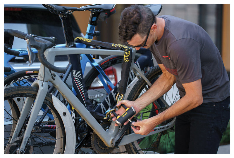 Load image into Gallery viewer, Ultimate Security: On Guard Beast Chain with X4 Padlock Set