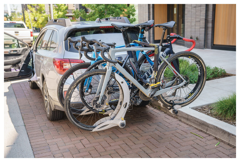 Load image into Gallery viewer, Ultimate Security: On Guard Beast Chain with X4 Padlock Set