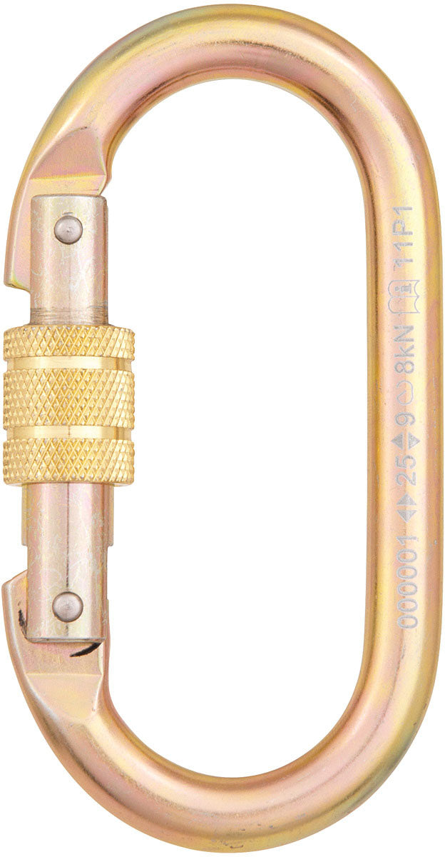 Load image into Gallery viewer, CYPHER-Carabiner-Keychain-Lanyard-CBKL1594