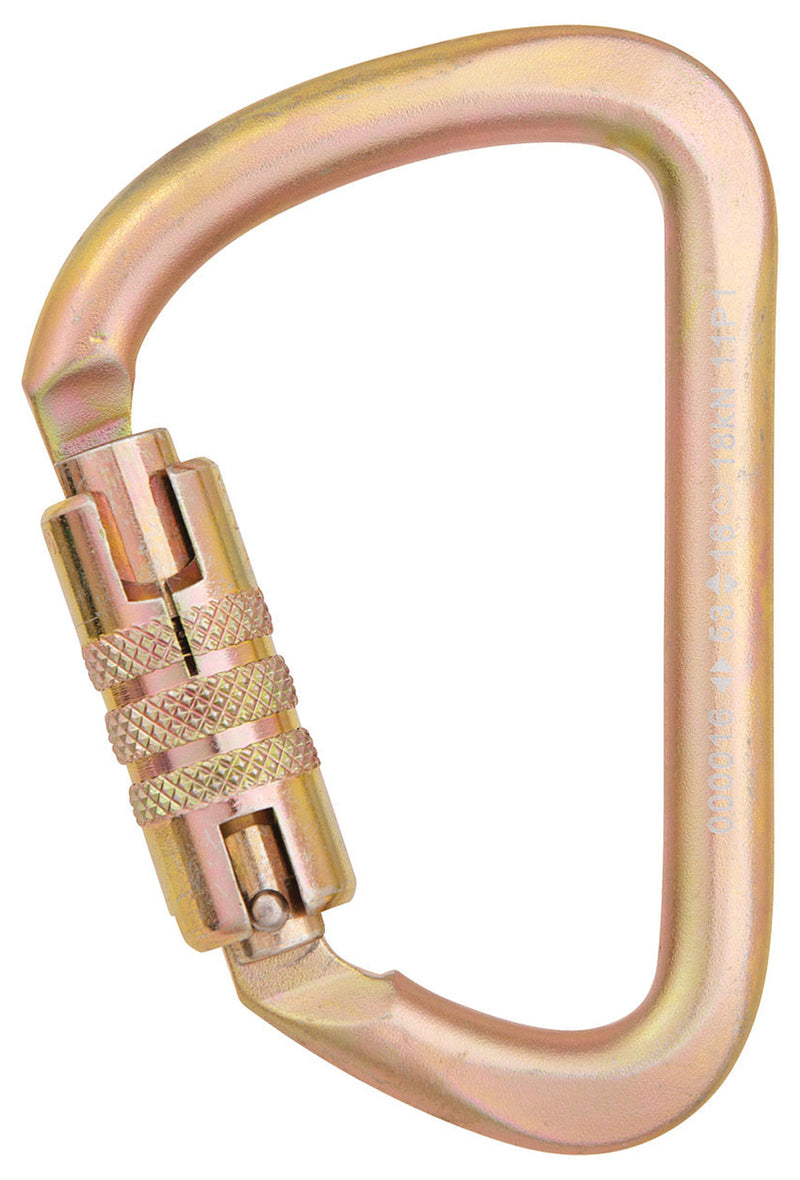 Load image into Gallery viewer, CYPHER-Carabiner-Keychain-Lanyard-CBKL1605