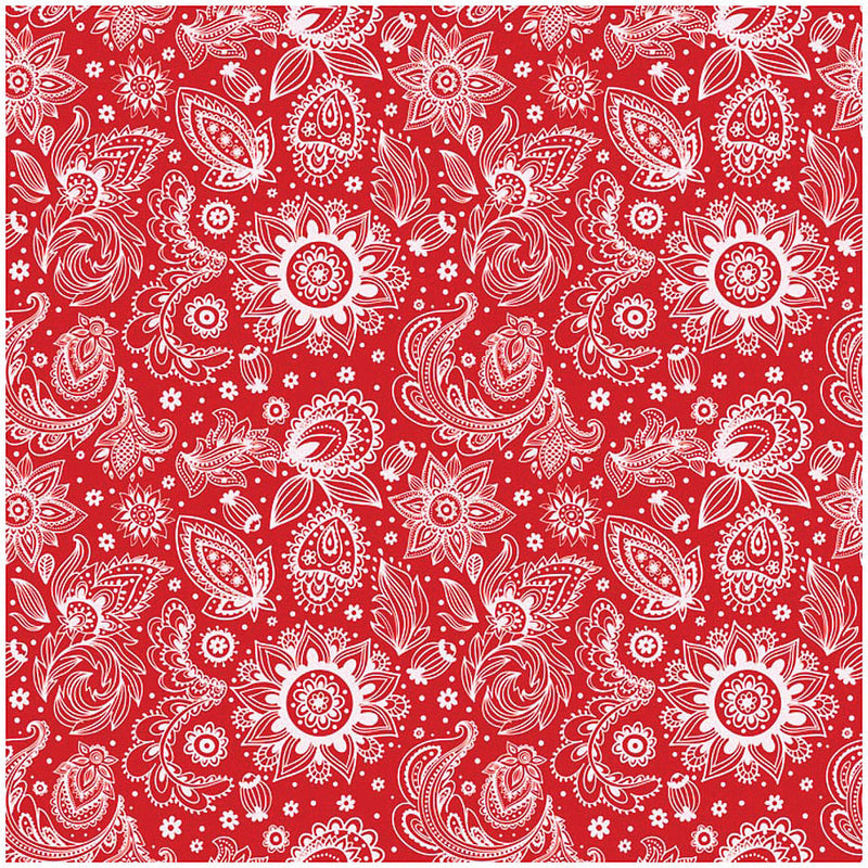 Load image into Gallery viewer, CAROLINA-MANUF-Hats-HATS1634