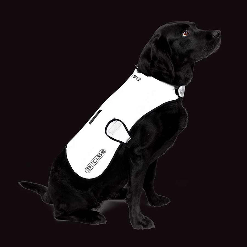 Load image into Gallery viewer, Proviz Dog Cover Silver M