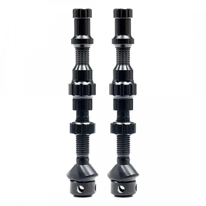 Load image into Gallery viewer, Stan's-Exo-Core-Tubeless-Valves-TBVL0424