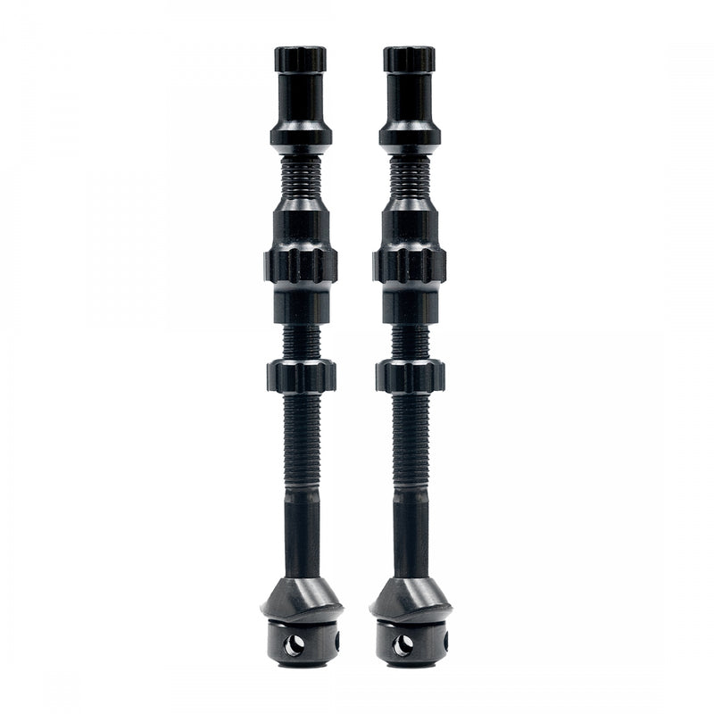 Load image into Gallery viewer, Stan's-Exo-Core-Tubeless-Valves-TBVL0429