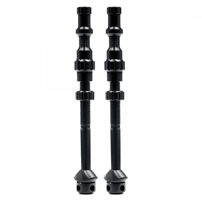Load image into Gallery viewer, Stan's-Exo-Core-Tubeless-Valves-TBVL0423