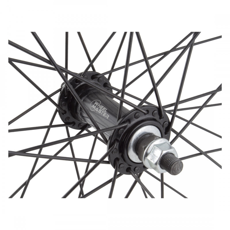 Load image into Gallery viewer, Wheel Master 24in Alloy WEI AS7X Front B/O 3/8x100mm Rim Brake DT-2.0 SS Black