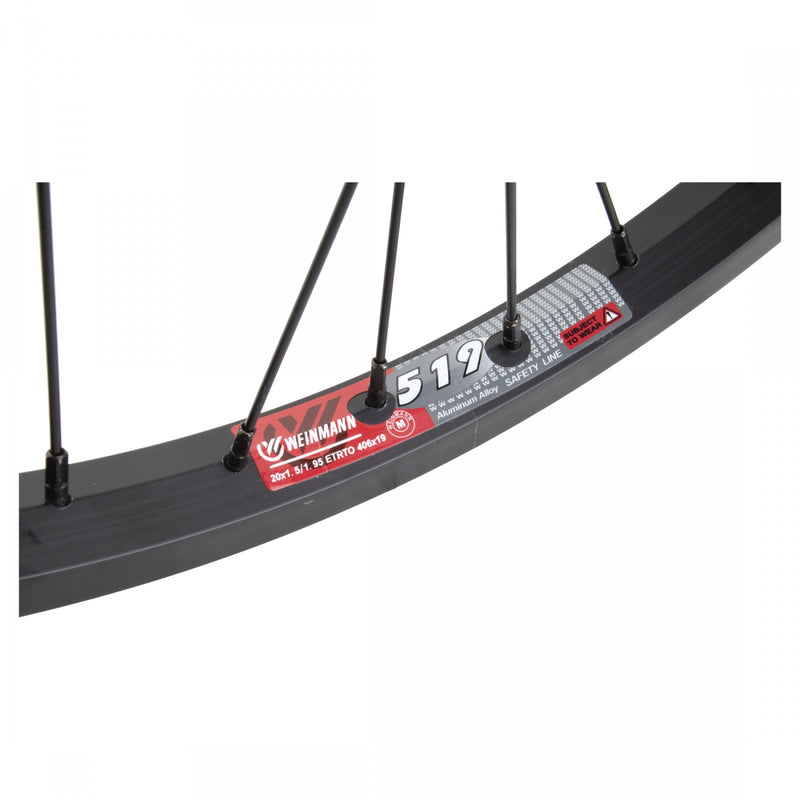 Load image into Gallery viewer, Wheel Master 20in Alloy Rear Wheel B/O 3/8x110mm Coaster Brake Clincher Black