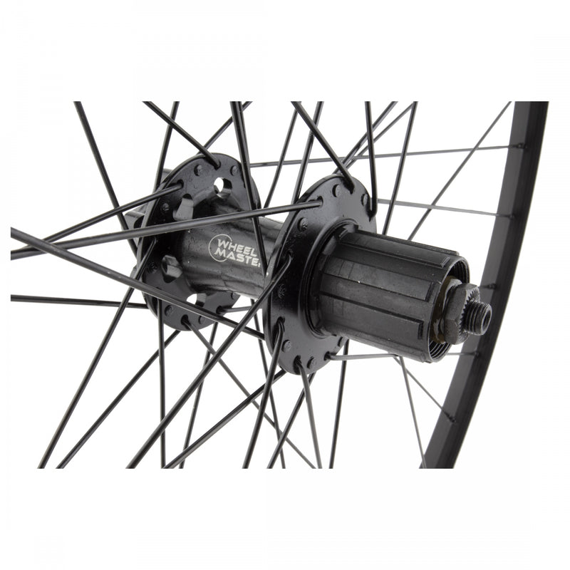 Load image into Gallery viewer, Wheel Master 29in WEI 519 Rear Wheel QR10x135mm MT-3000 6-Bolt Clincher Black