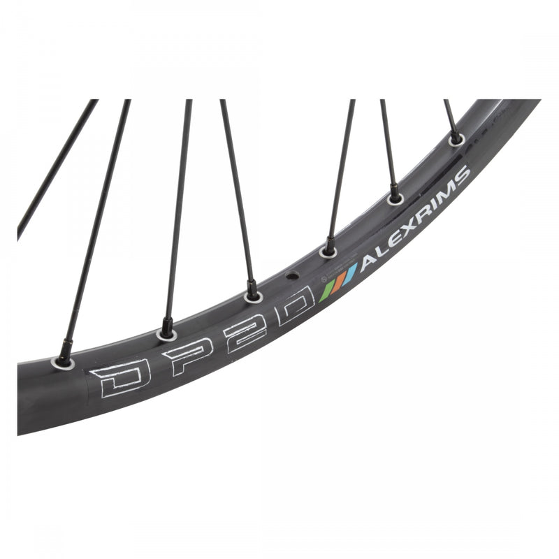 Load image into Gallery viewer, Wheel Master 26in Alloy Mountain Disc Double Wall 26in RR Alex DP20 6B