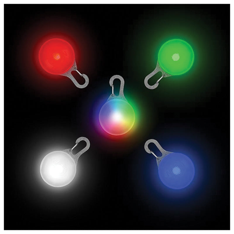 Load image into Gallery viewer, Nite Ize Spotlit Recharge Collar Light: Illuminate Your Pet's Nighttime Adventures!
