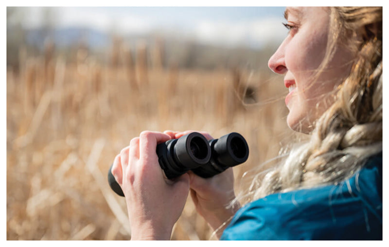 Load image into Gallery viewer, Nikon Prostaff P7 10x42 Binoculars: High-Performance Optics for Precision Viewing