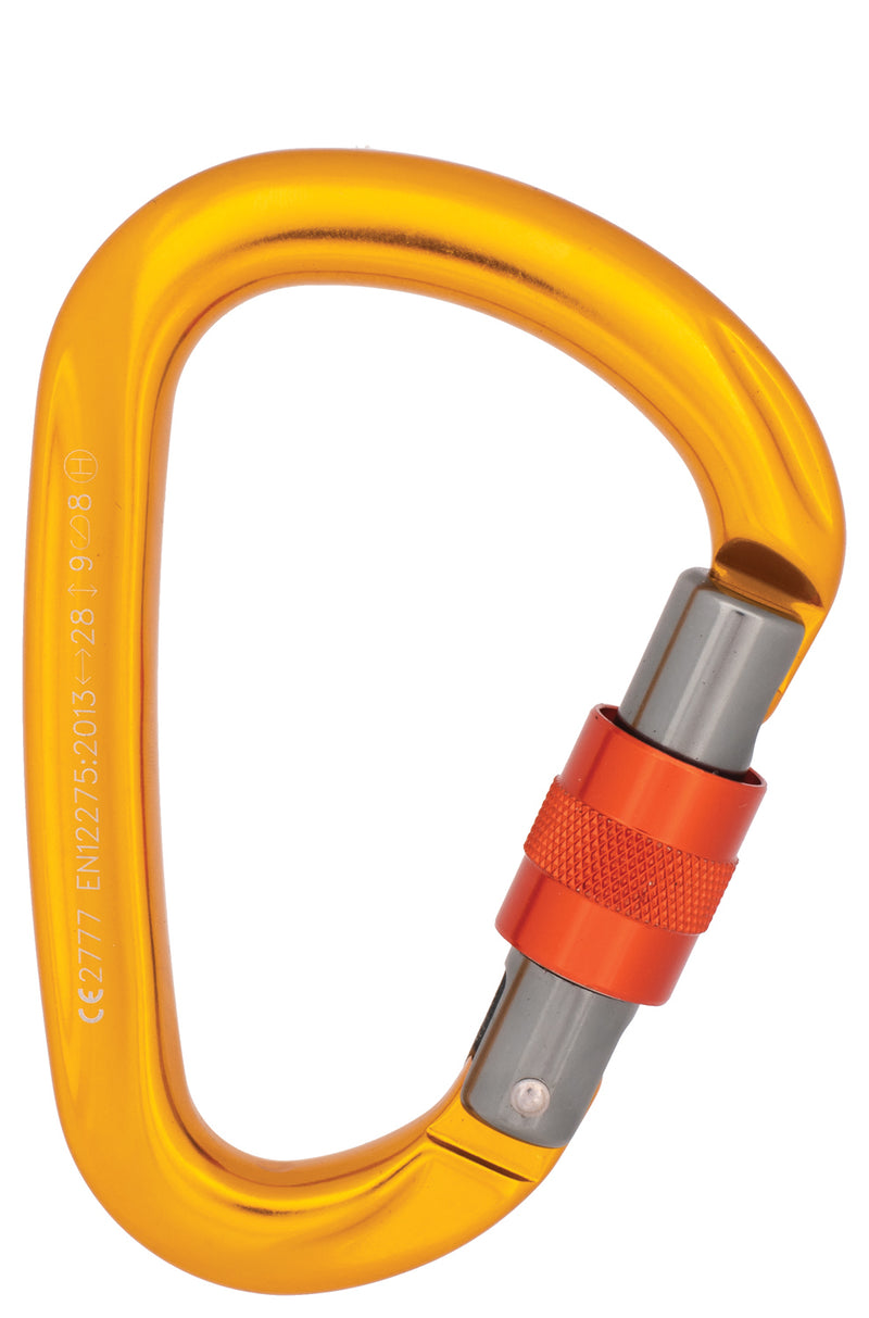 Load image into Gallery viewer, CYPHER-Carabiner-Keychain-Lanyard-CBKL1843