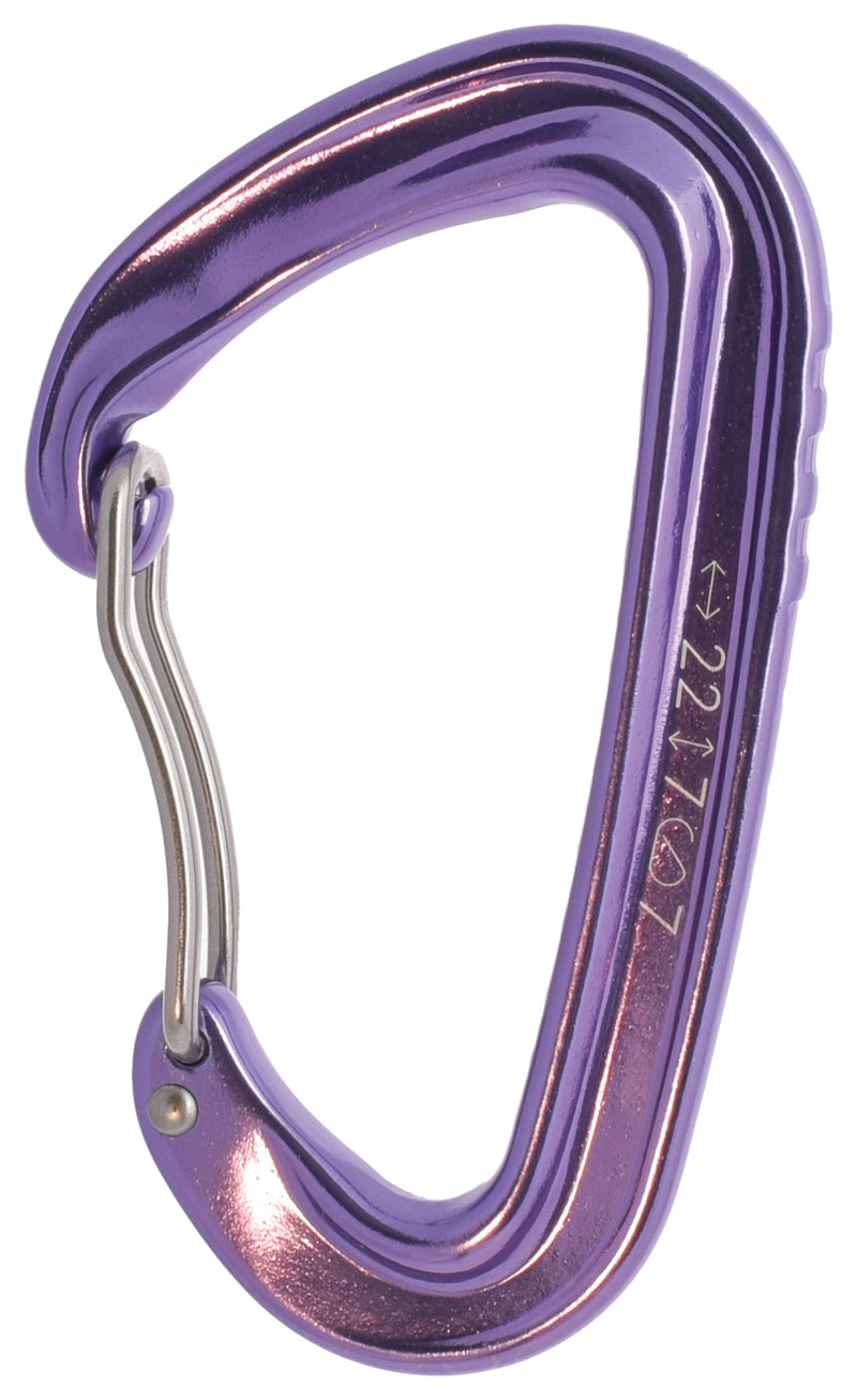 Load image into Gallery viewer, CYPHER-Carabiner-Keychain-Lanyard-CBKL1862