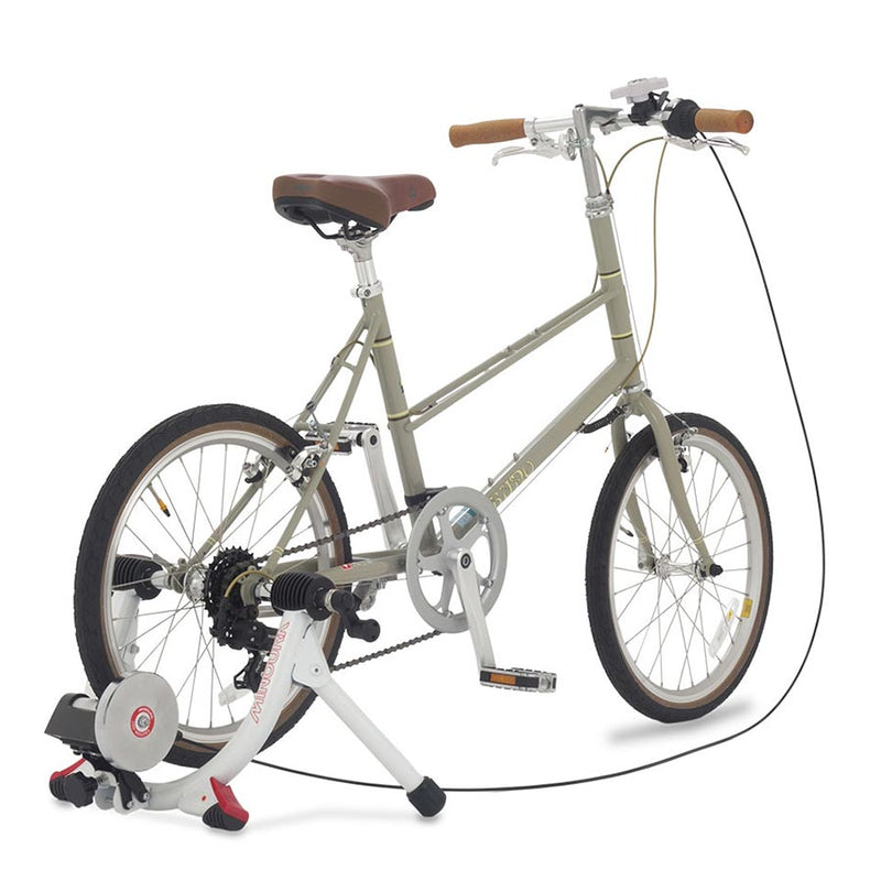 Load image into Gallery viewer, Minoura LR241 Trainer Magnetic
