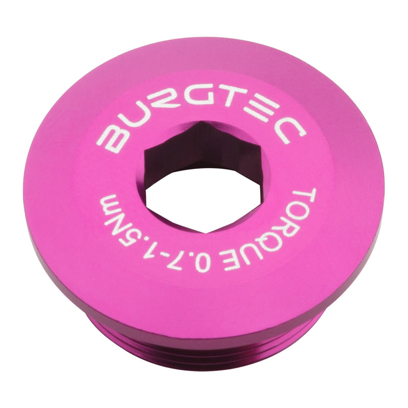 Load image into Gallery viewer, Burgtec-Hollowtech-II-Crank-Arm-Fixing-Bolt-Universal-CKPT0158