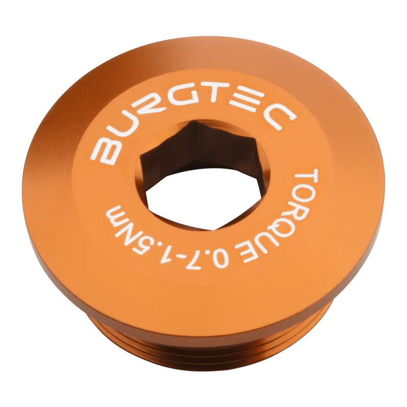 Load image into Gallery viewer, Burgtec-Hollowtech-II-Crank-Arm-Fixing-Bolt-Universal-CKPT0159