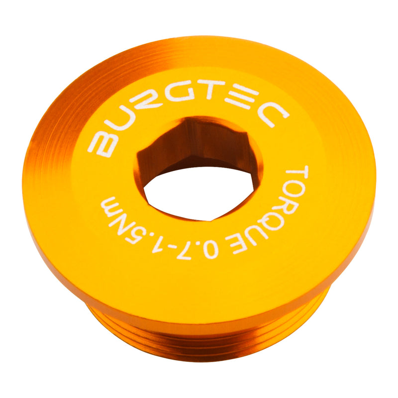 Load image into Gallery viewer, Burgtec-Hollowtech-II-Crank-Arm-Fixing-Bolt-Universal-CKPT0160