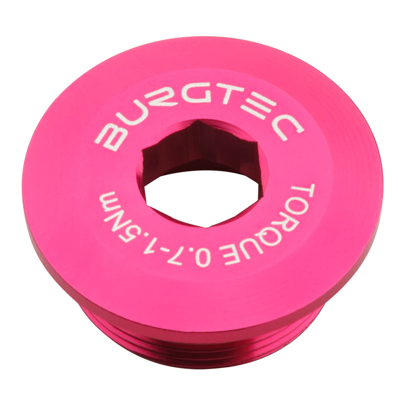 Load image into Gallery viewer, Burgtec-Hollowtech-II-Crank-Arm-Fixing-Bolt-Universal-CKPT0163