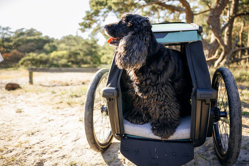 Load image into Gallery viewer, Thule Bexey Dog Bed - Medium