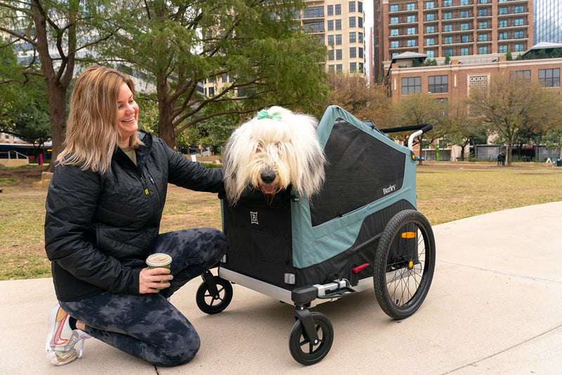 Load image into Gallery viewer, Burley Bark Ranger XL Pet Bike Trailer