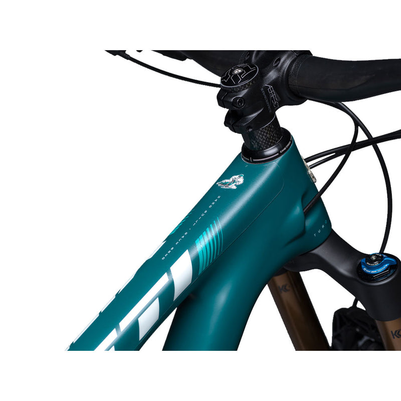 Load image into Gallery viewer, DYEDBRO-Chainstay-Frame-Protection-Mountain-Bike-CSFP0256