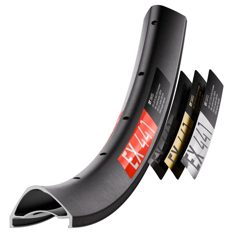 Load image into Gallery viewer, DT Swiss EX 441 Tubeless Ready 29" Disc Rim, 32h, Black