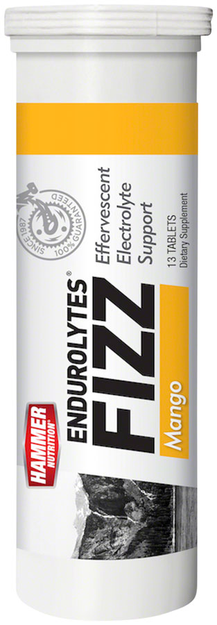 Load image into Gallery viewer, Hammer-Nutrition-Endurolytes-Fizz-Drink-Mixes-EB4002
