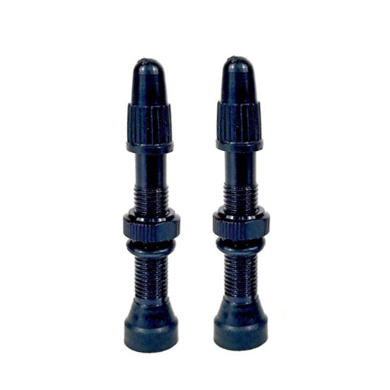 Load image into Gallery viewer, Hold-Fast-Cycling-Classic-Tubeless-Valves-TBVL0528