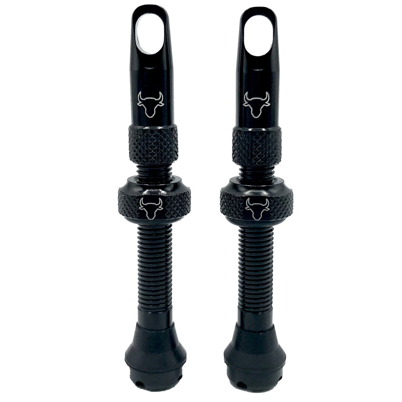Load image into Gallery viewer, Hold-Fast-Cycling-Premium-Insert-Tubeless-Valves-TBVL0510
