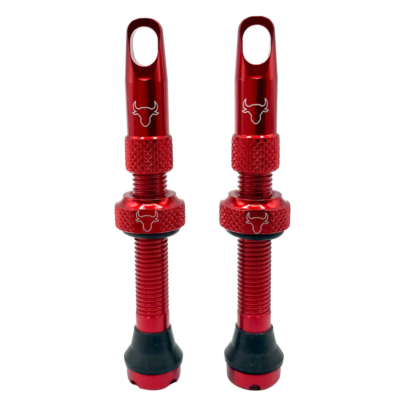 Load image into Gallery viewer, Hold-Fast-Cycling-Premium-Insert-Tubeless-Valves-TBVL0512
