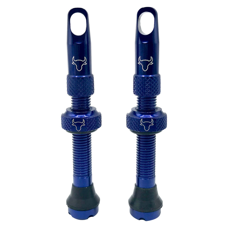 Load image into Gallery viewer, Hold-Fast-Cycling-Premium-Insert-Tubeless-Valves-TBVL0511